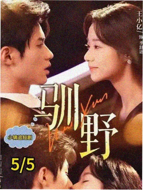 猫与旧书店 人气榜第三